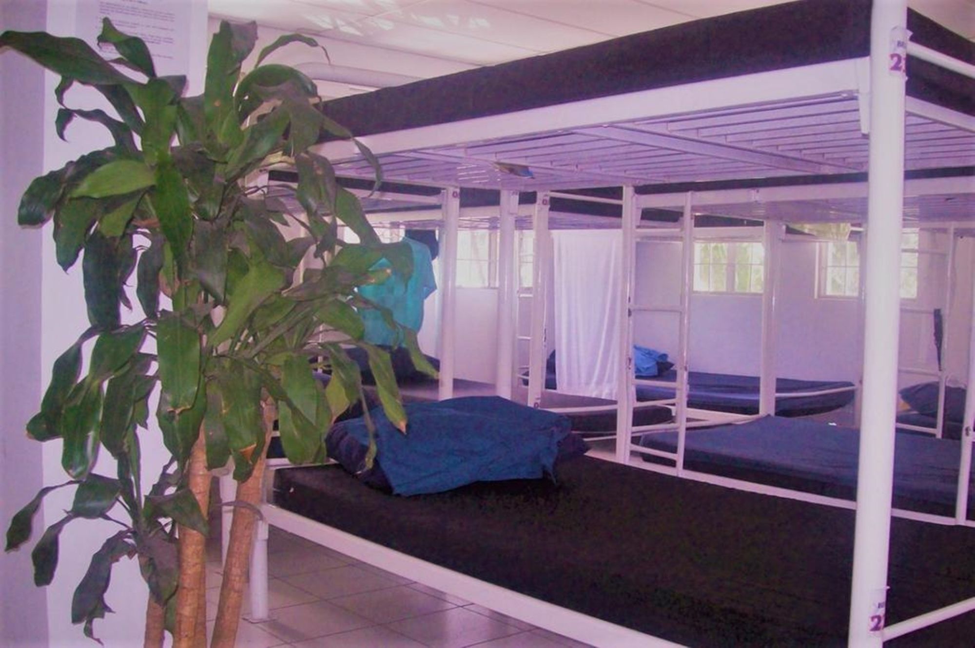 Luneta Dormitory - Hostel 马尼拉 外观 照片
